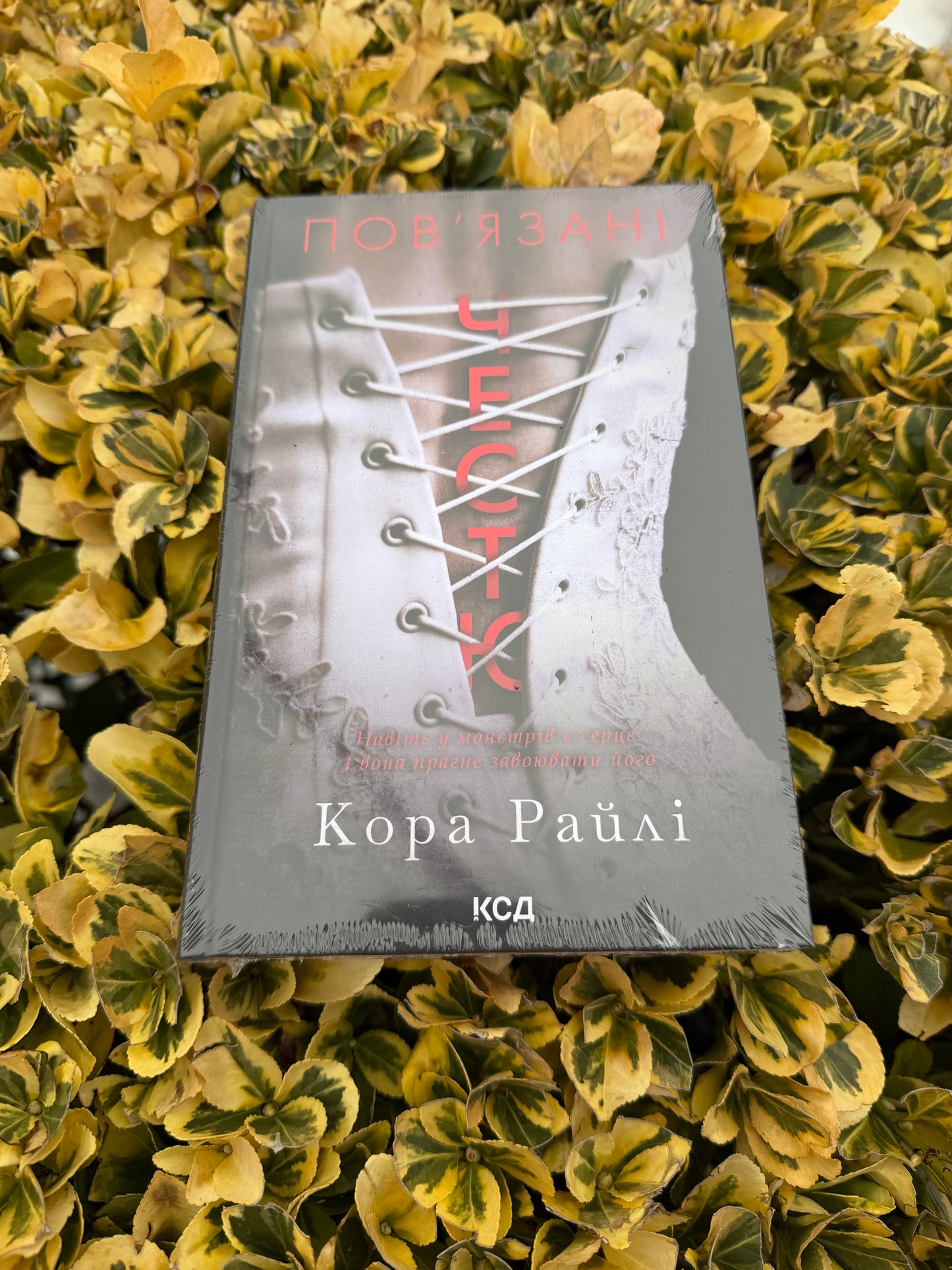 Пов'язані честю. Книга 1