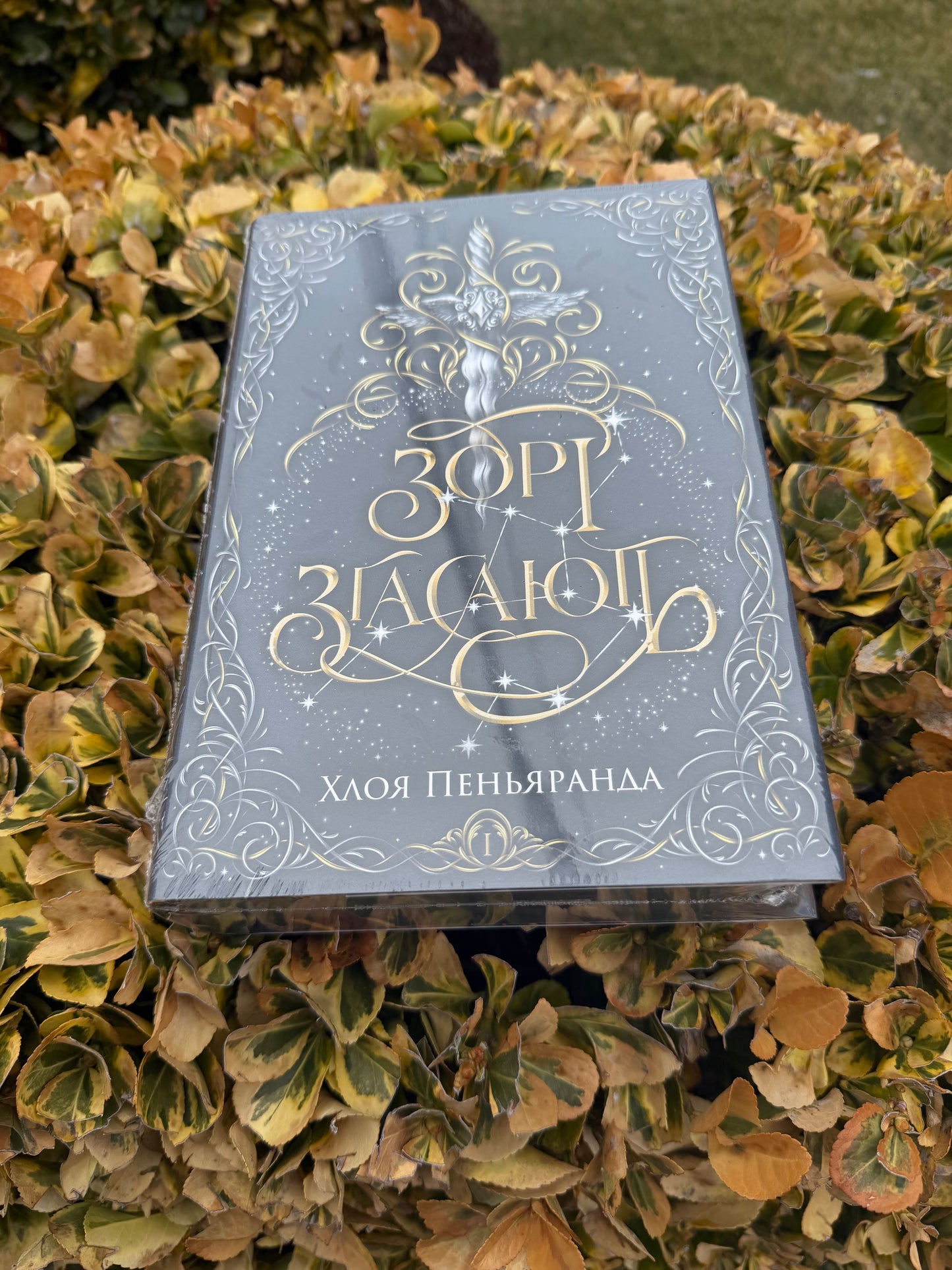 Зорі згасають. Книга 1 + суперобкладинка