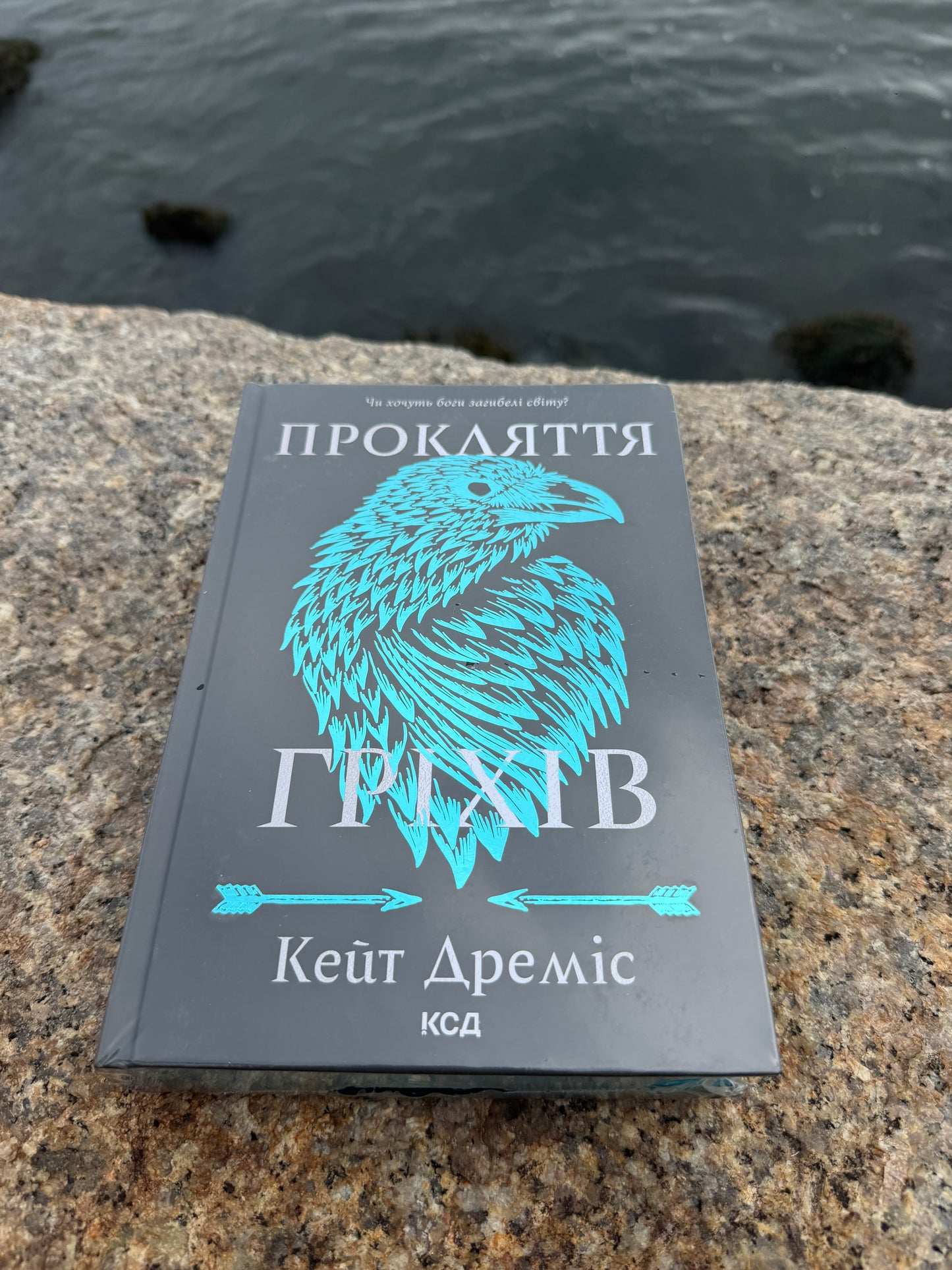 Прокляття гріхів. Книга 2