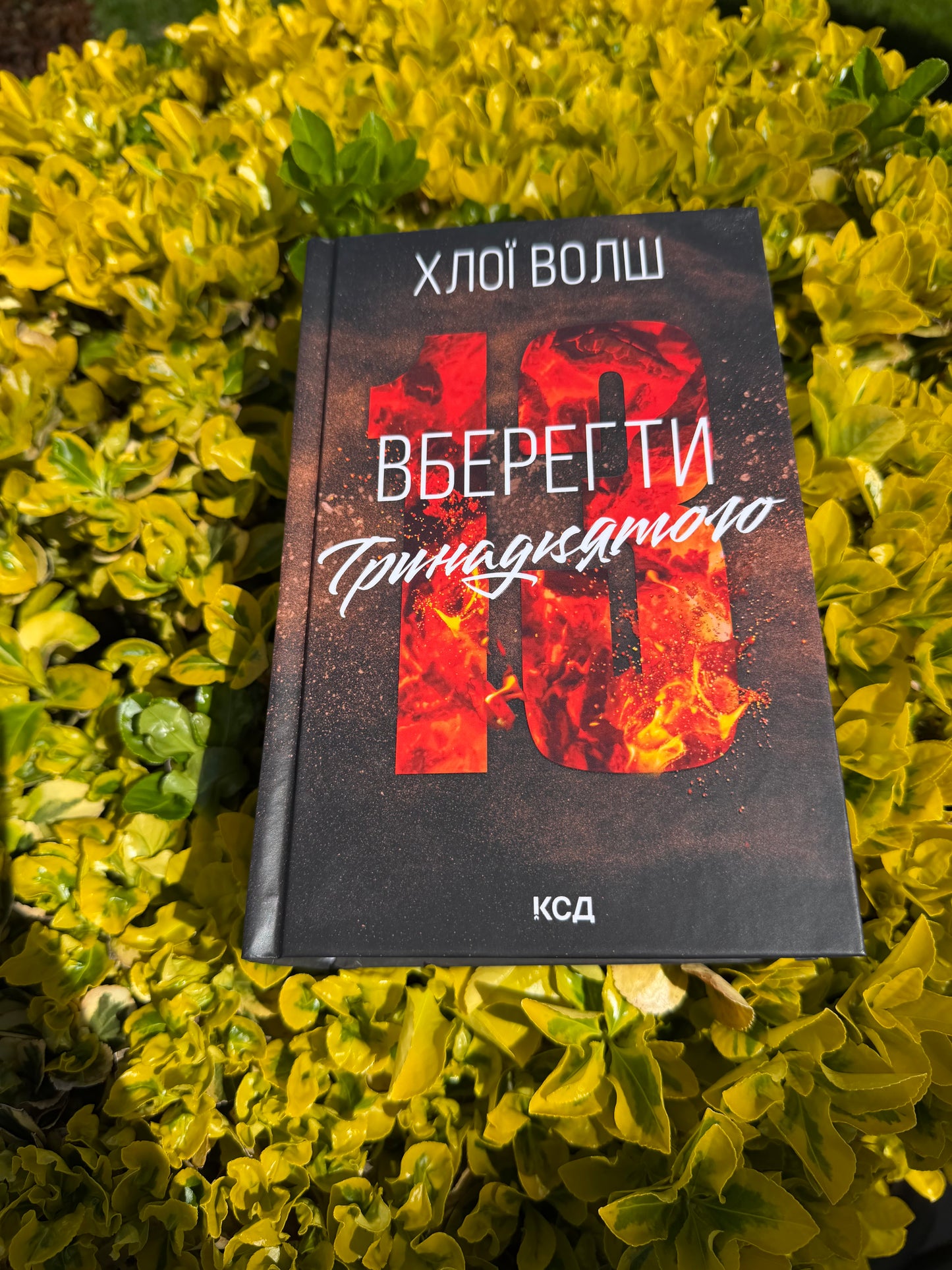 Вберегти Тринадцятого. Книга 2