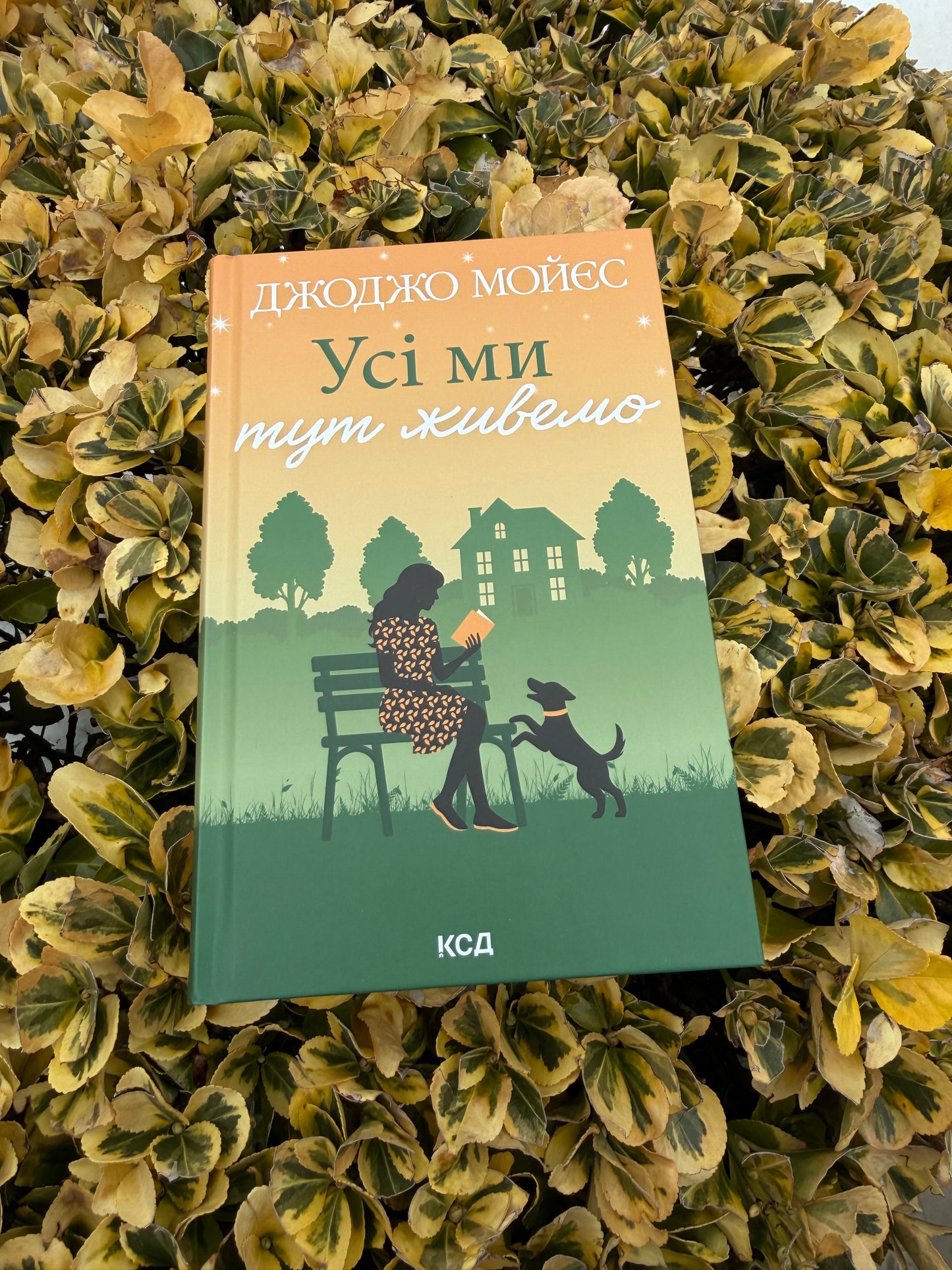 Усі ми тут живемо