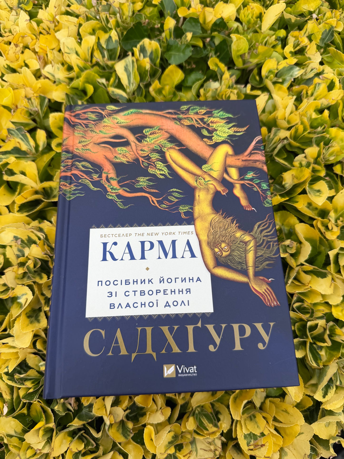 Карма. Посібник йогина зі створення власної долі