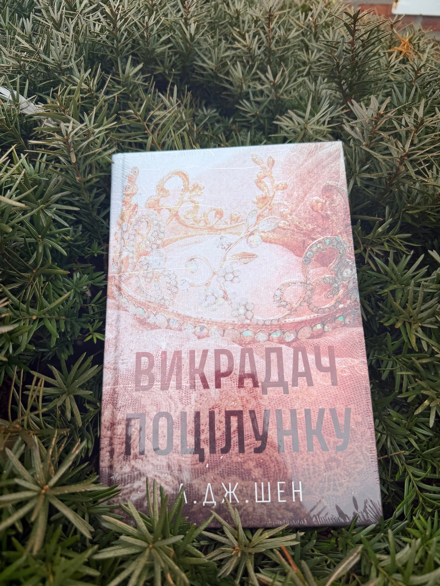 Викрадач поцілунку