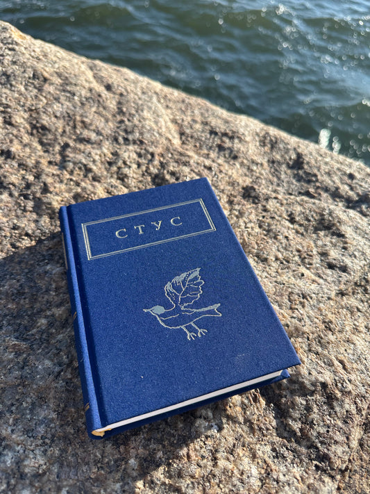 Палімпсести