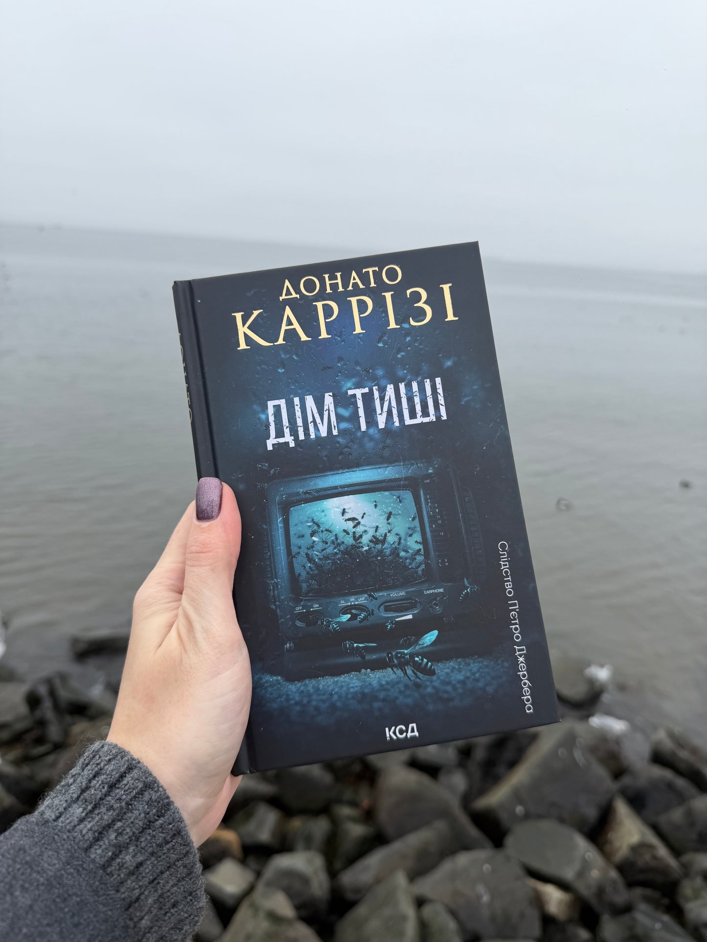 Дім тиші. Книга 4