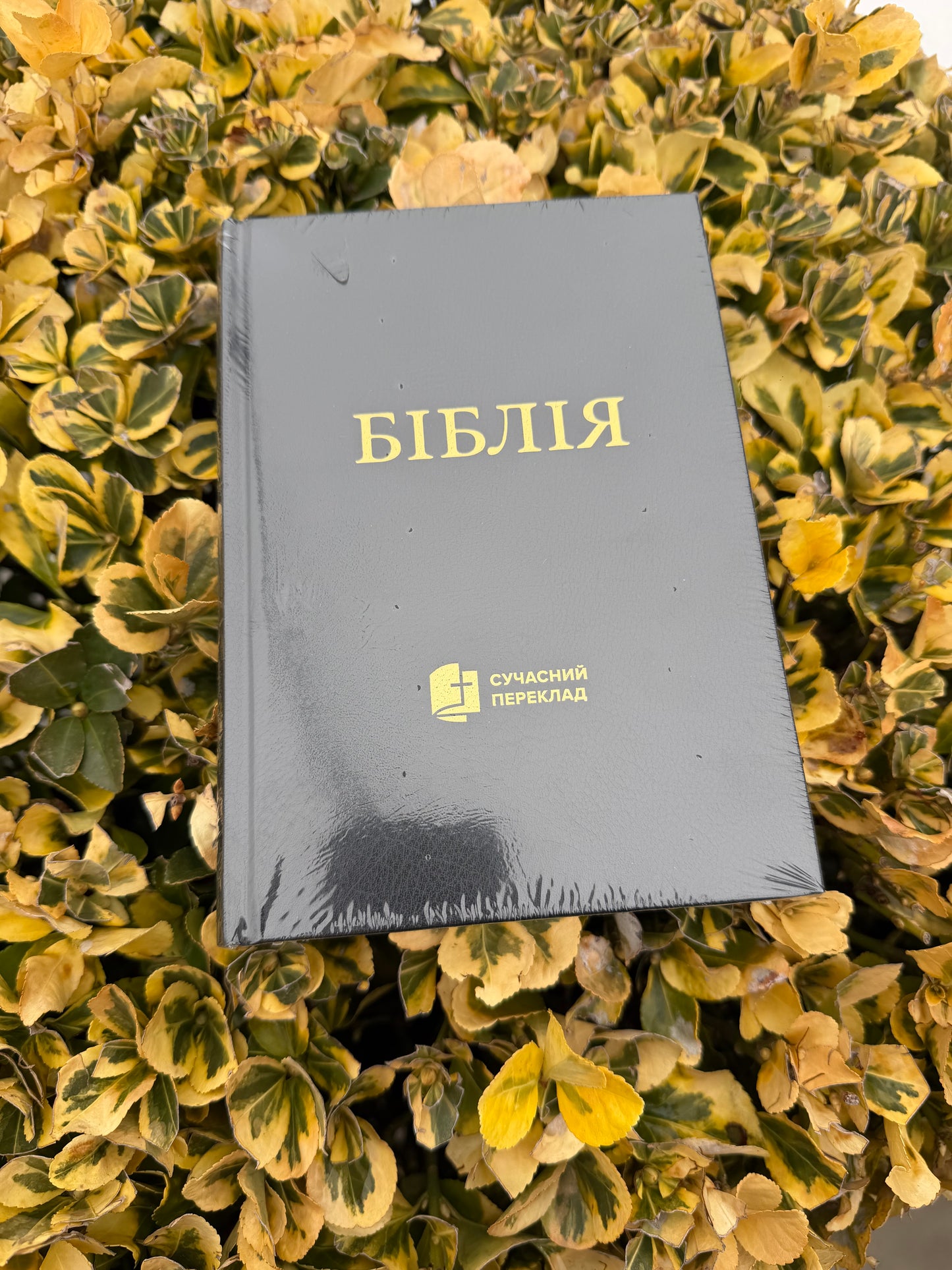 Біблія. Сучасний переклад. Чорна