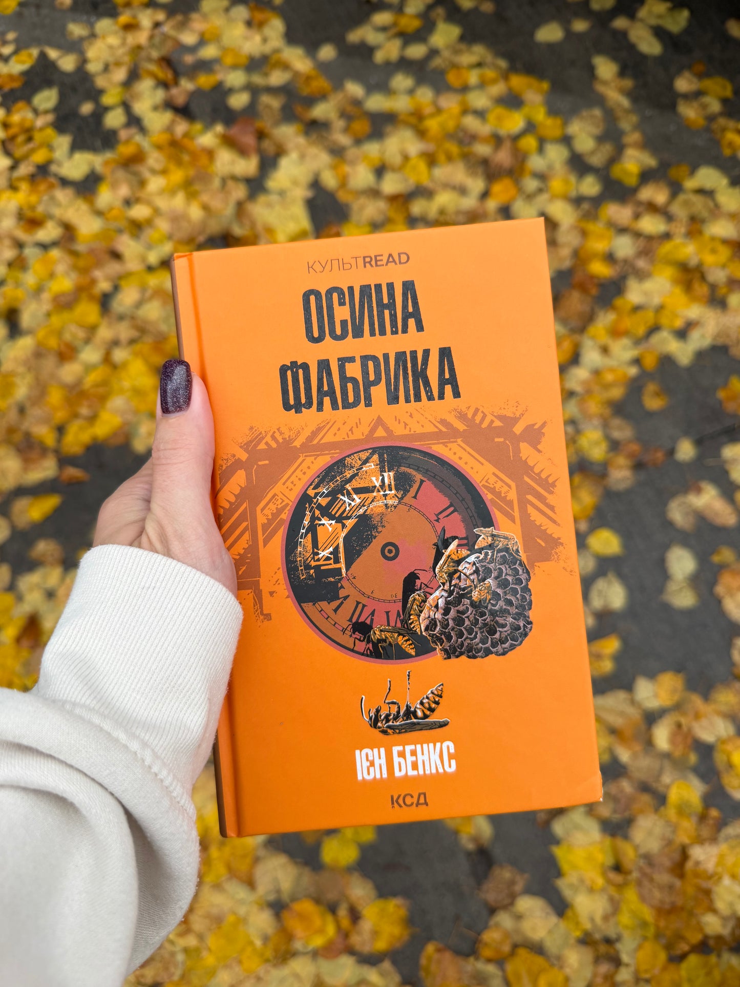 Осина фабрика