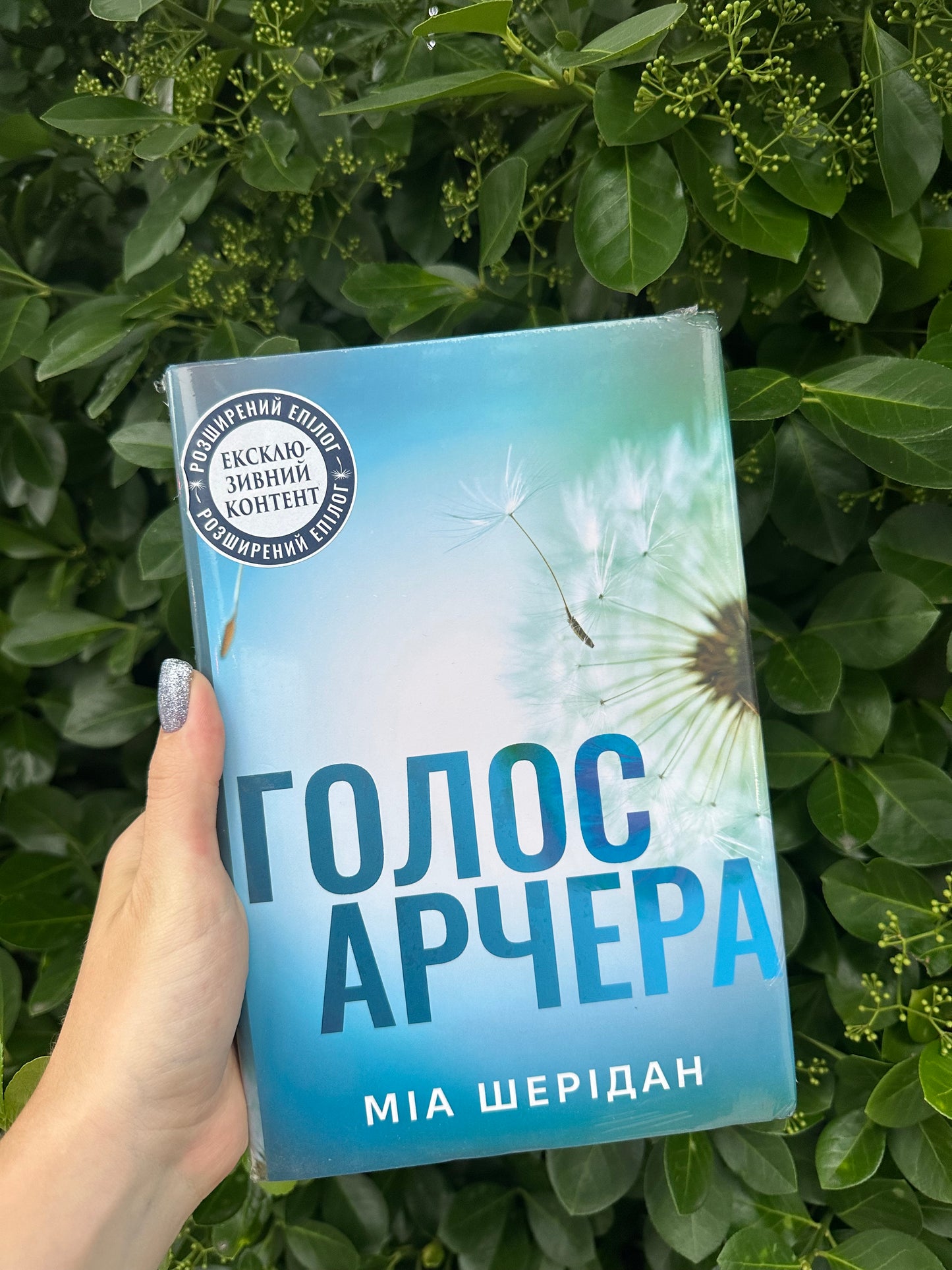 Голос Арчера. Книга 1