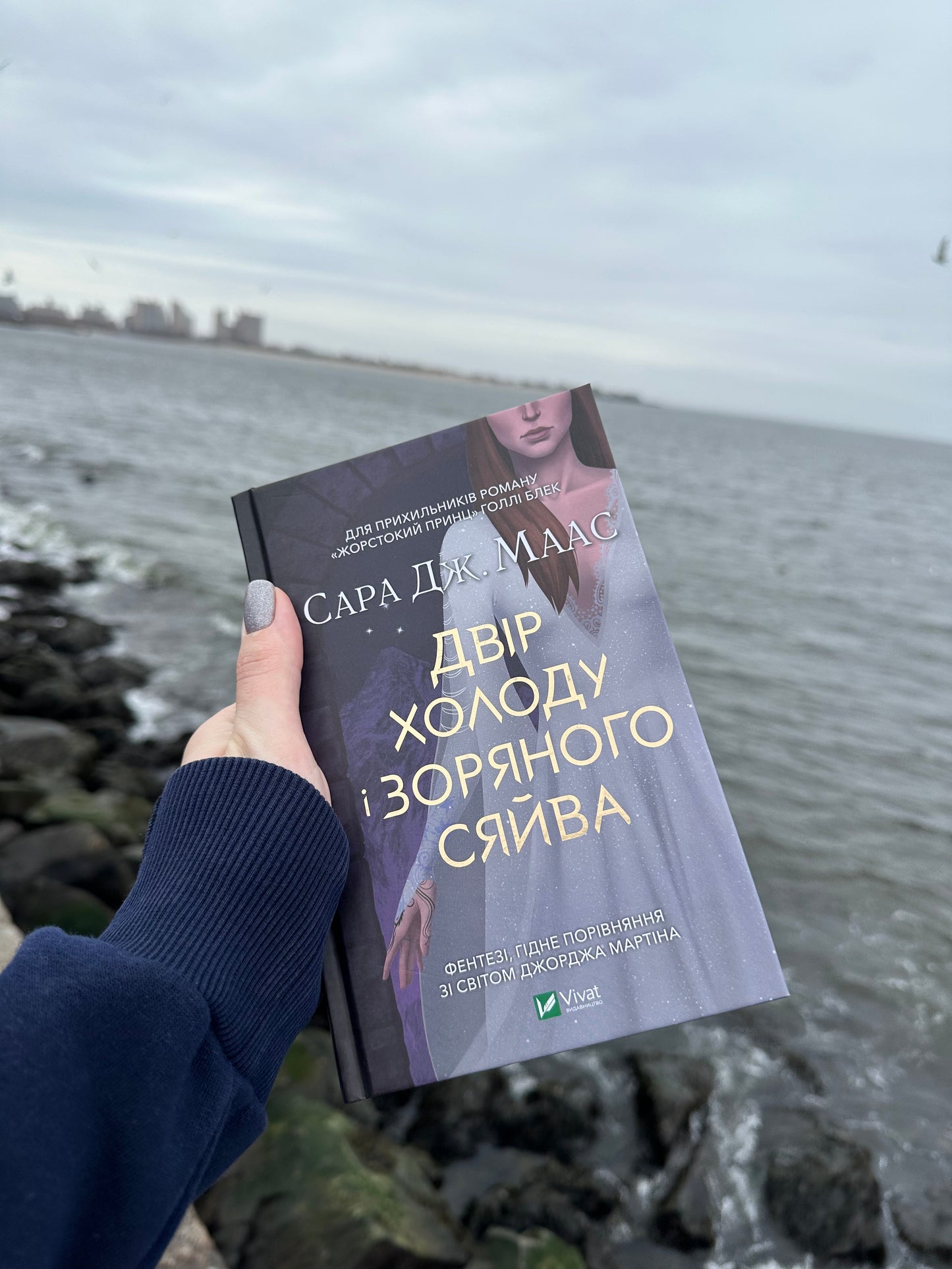 Двір холоду і зоряного сяйва. Книга 4