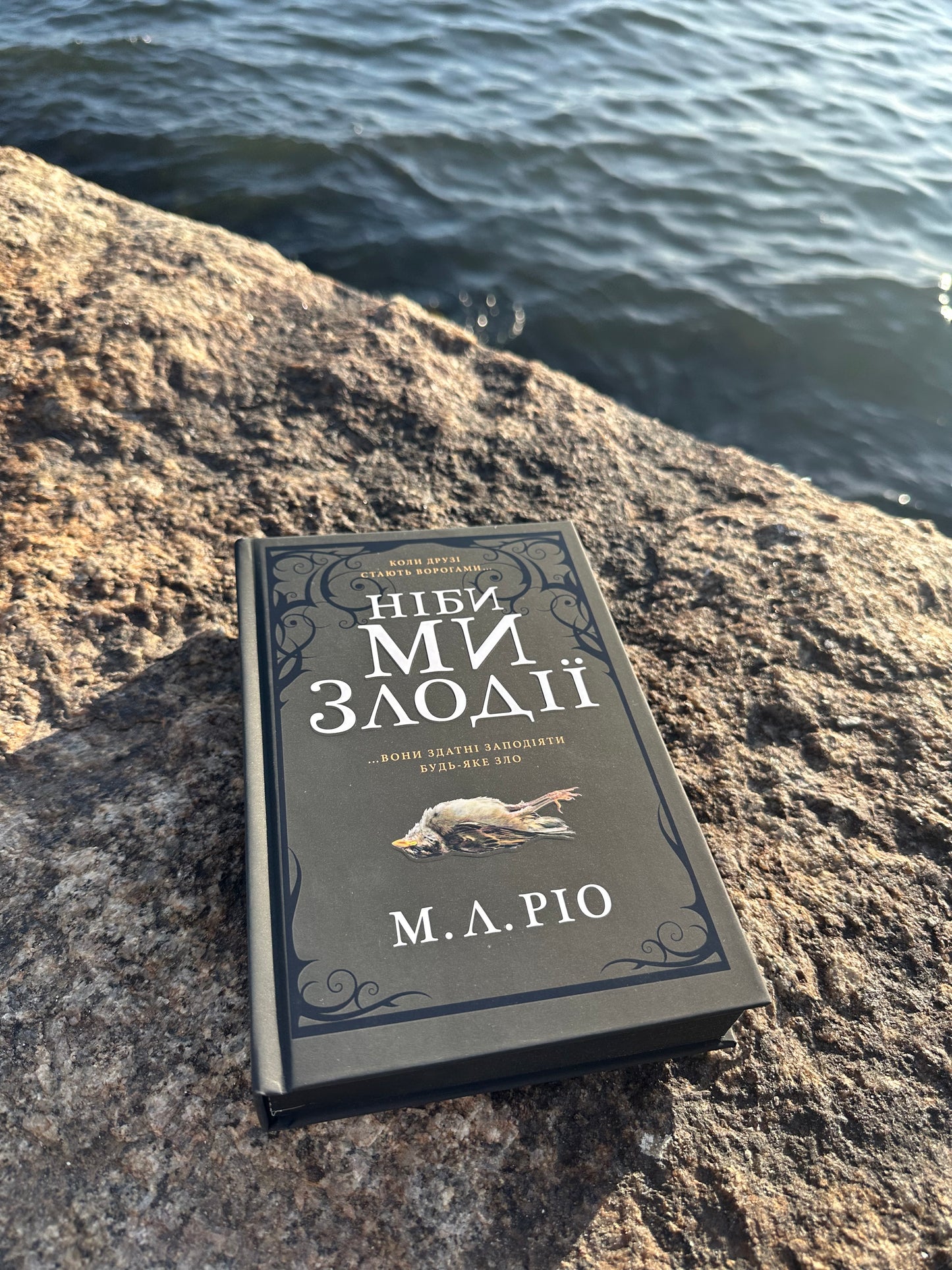 Ніби ми злодії