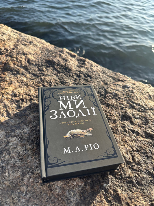 Ніби ми злодії