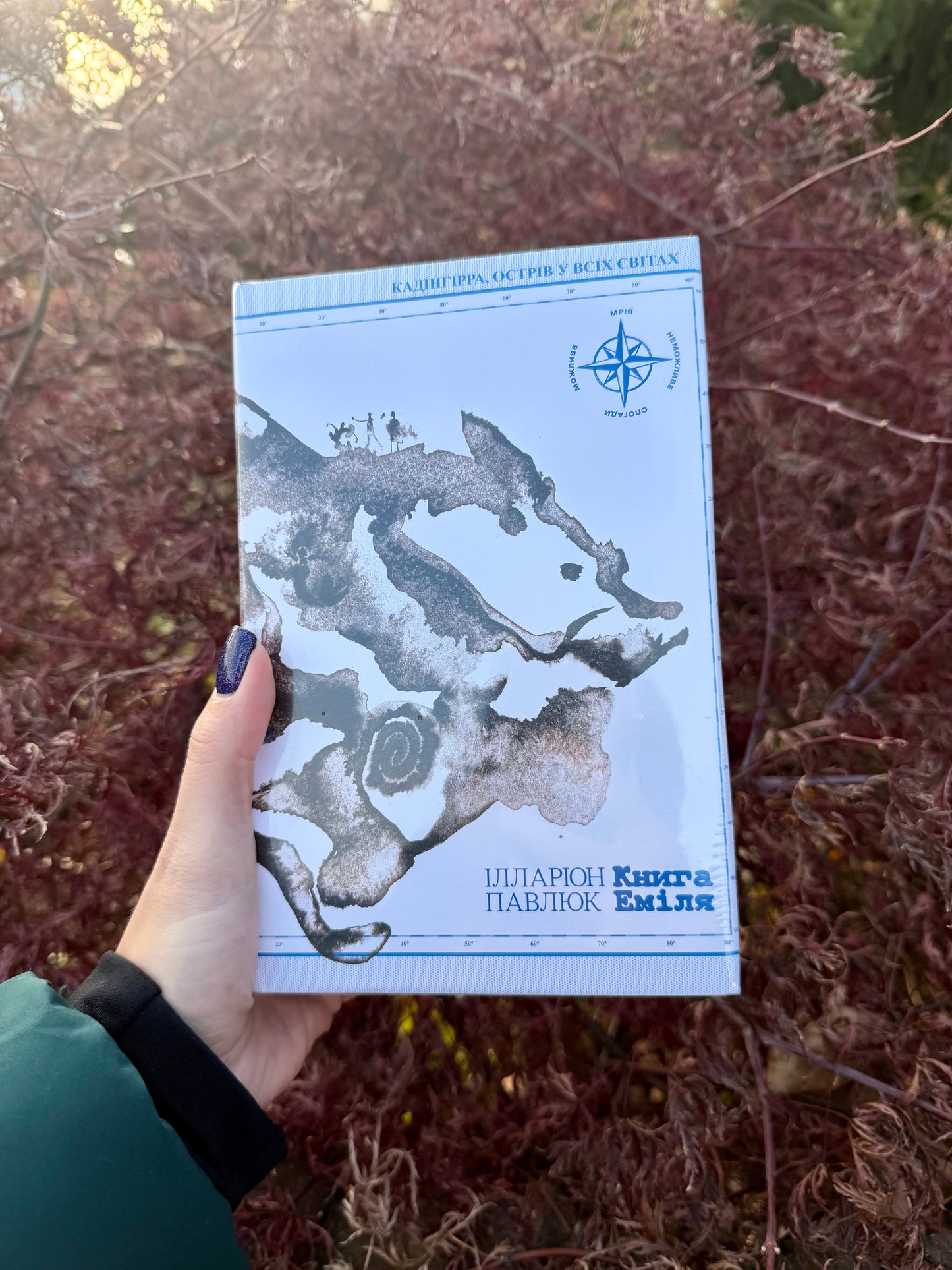 Книга Еміля