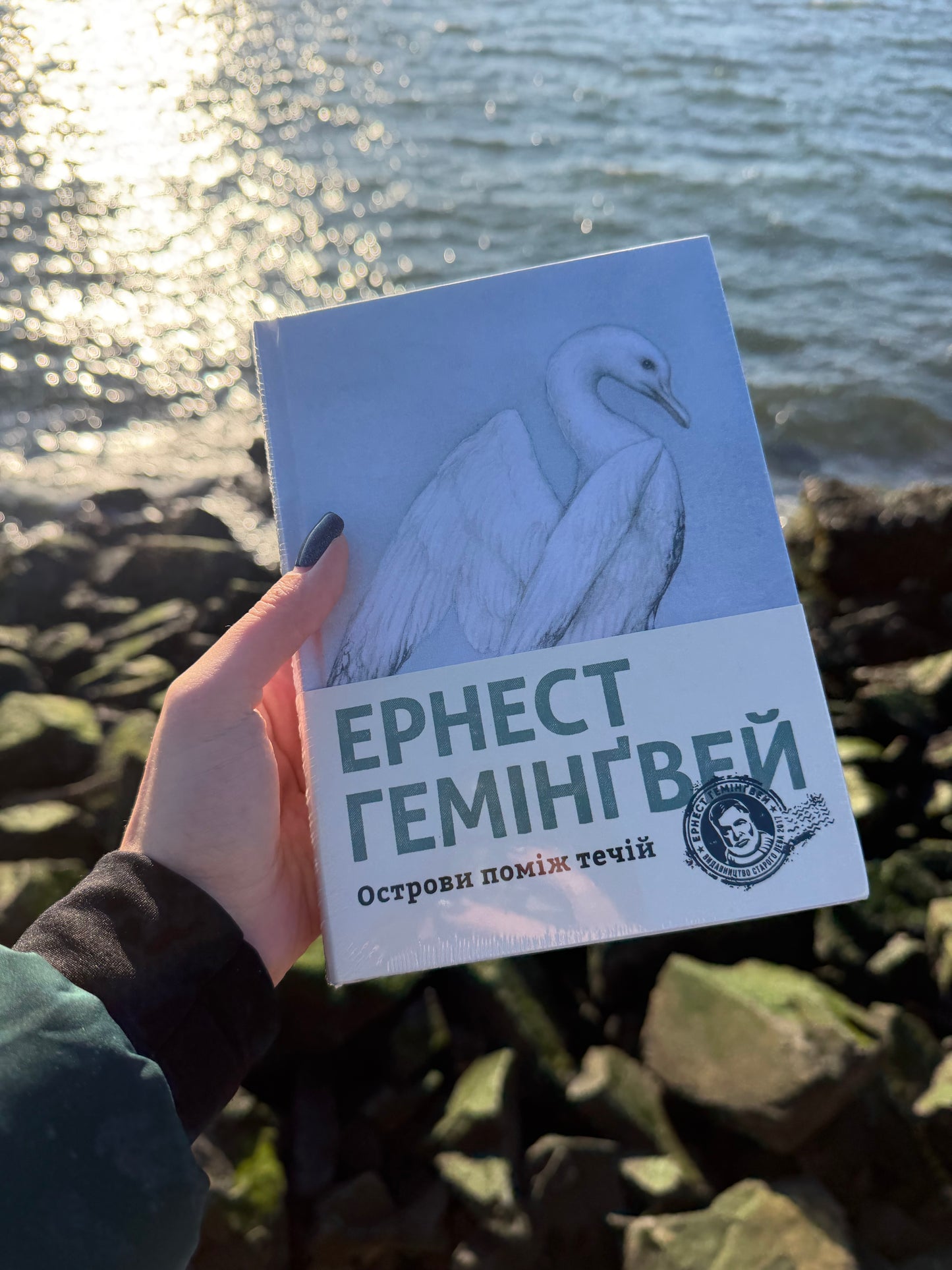 Острови поміж течій