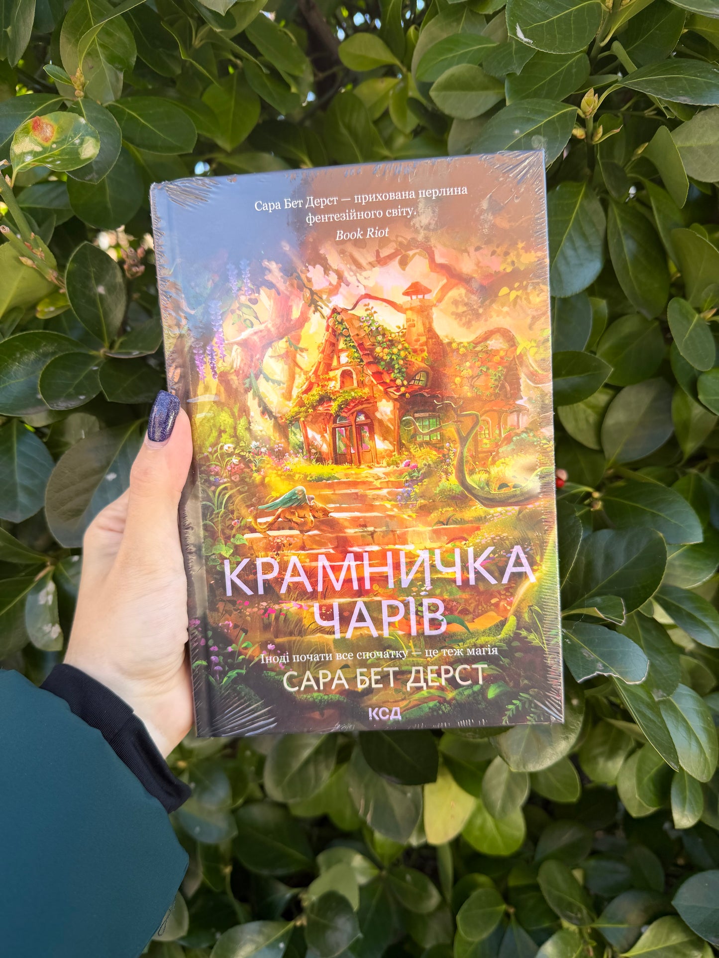 Крамничка чарів. Книга 1