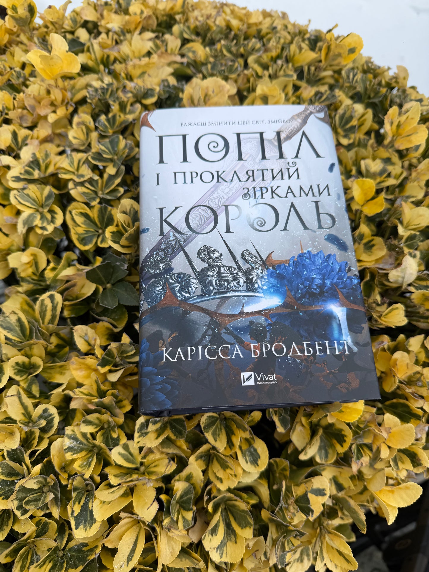 Попіл і проклятий зірками король. Книга 2 + суперобкладинка