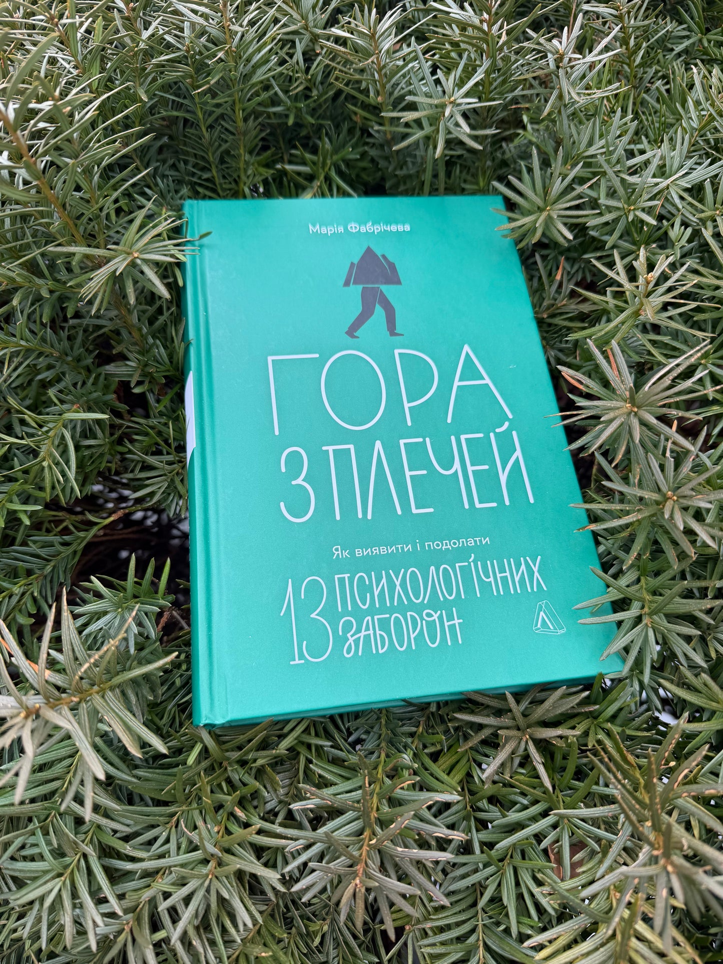 Гора з плечей. Як виявити і подолати 13 психологічних заборон