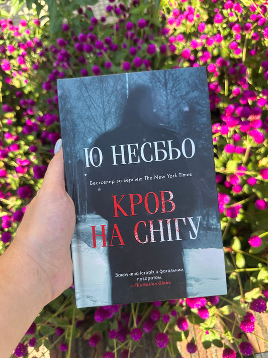 Кров на снігу