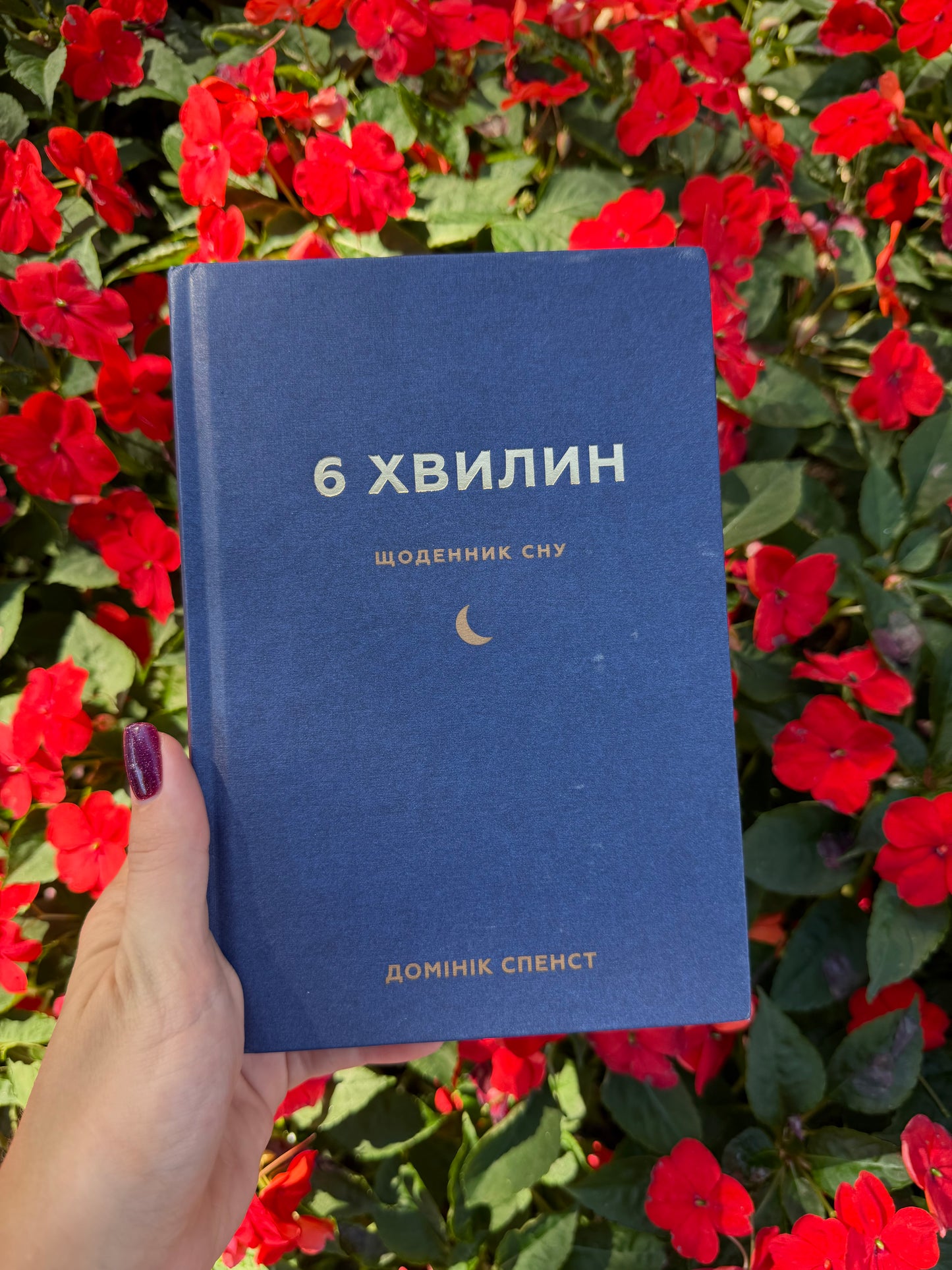 6 хвилин. Щоденник сну, який навчить швидко засинати й прокидатися бадьорим