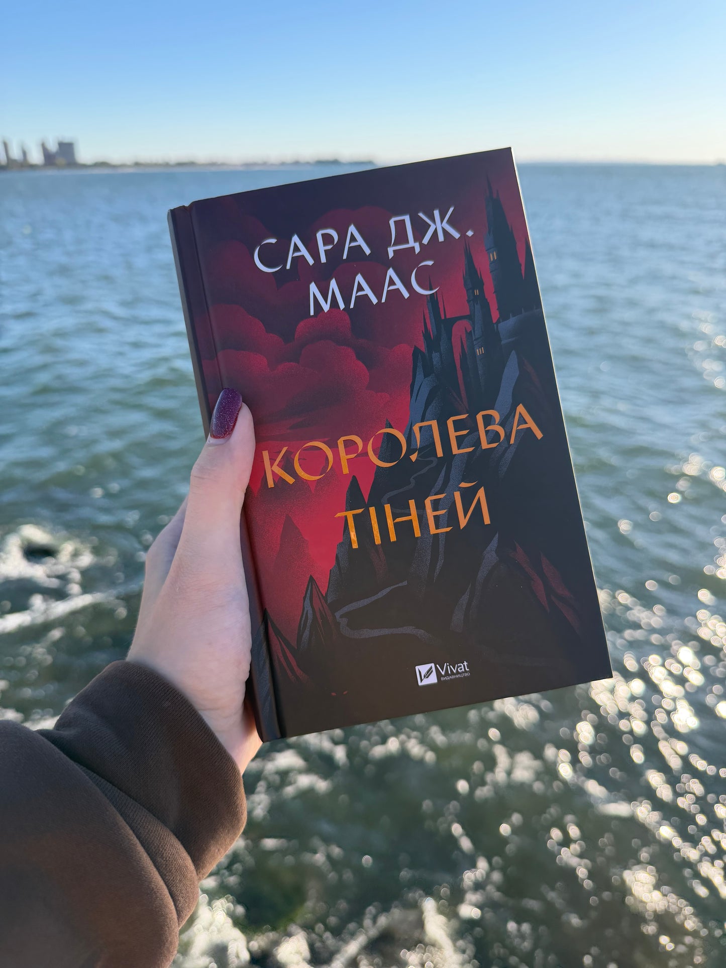 Королева тіней. Книга 4
